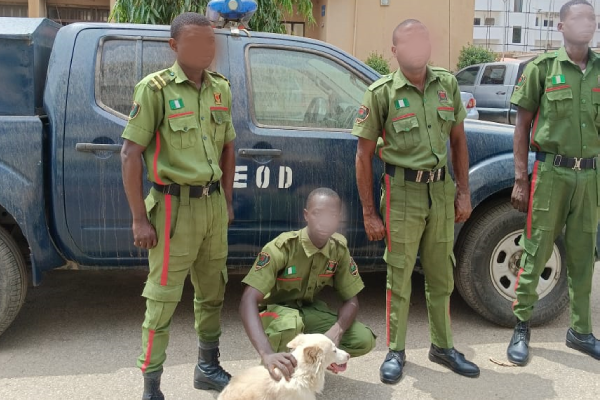 VIP & Executive Protection